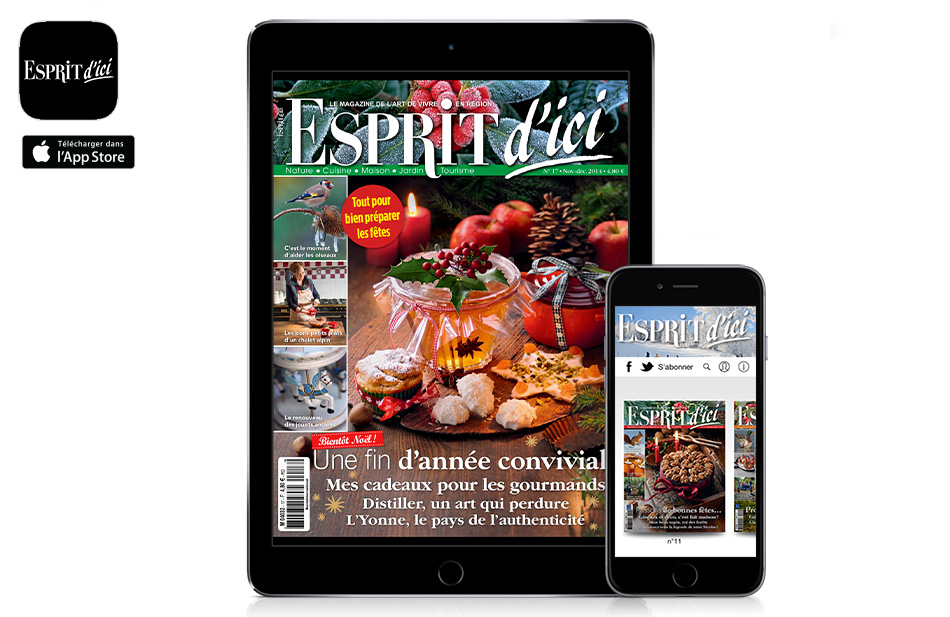 application-kiosque-magazine-Esprit-dici-sur-ipad-iphone